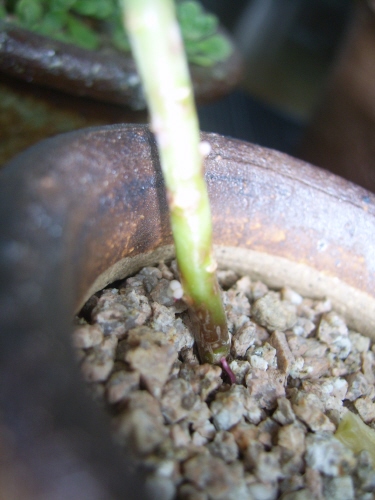 잘 찾아보세요..아가들 