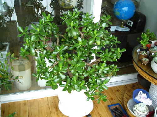 깍지로 고생많았던 염좌