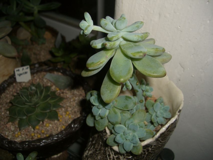 라울...ㅋㅋㅋㅋ