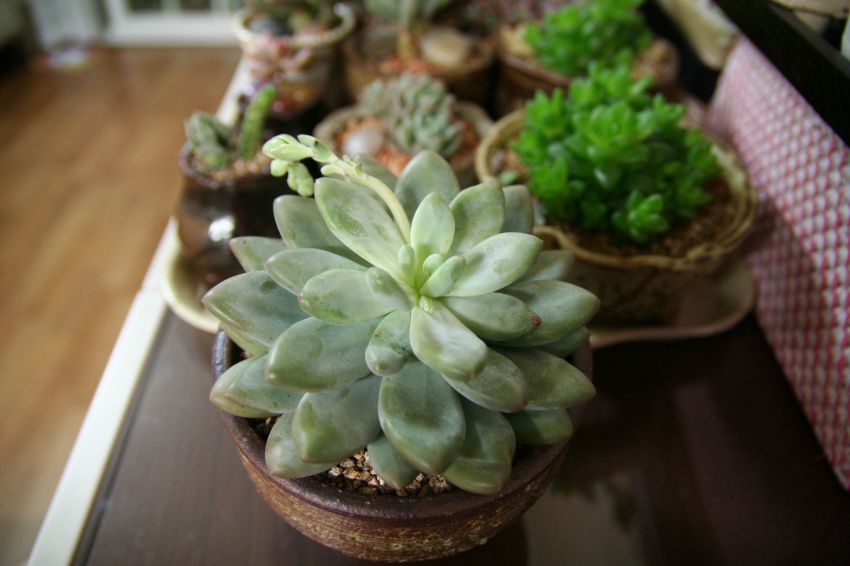 도전희 대품이네요~~