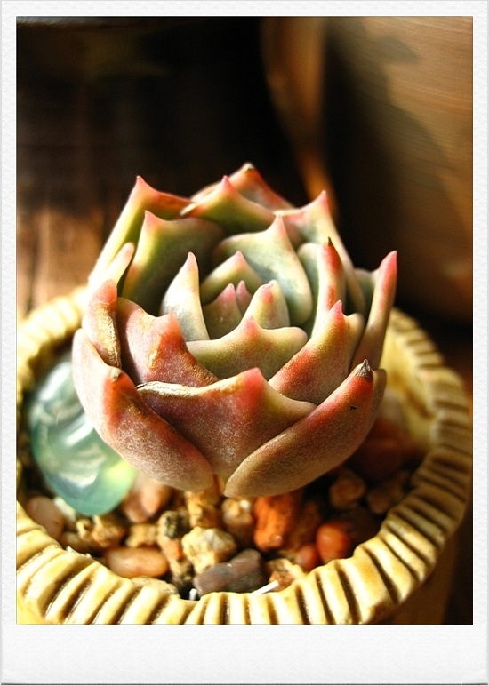 요롷게 전체모습도 찍어줬어요.