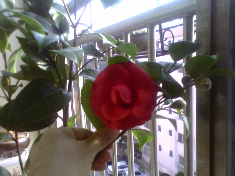 팡~~하고 터졌어요