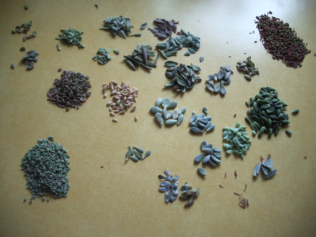 이것저것 많이도 떼어냈네요 ㅎ