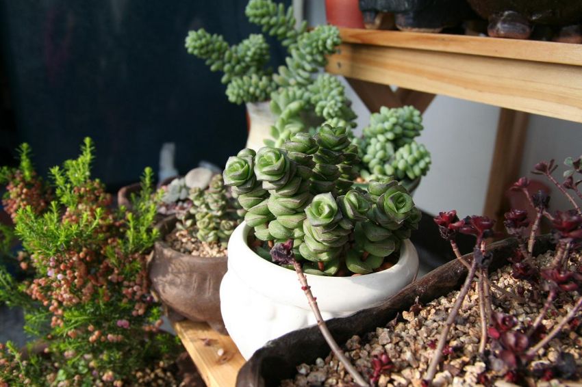  색은좀 빠졌지만 요즘 물오른 무을녀~~