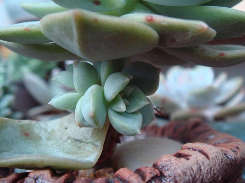  거기서 아가가 머리가 둘이여요~