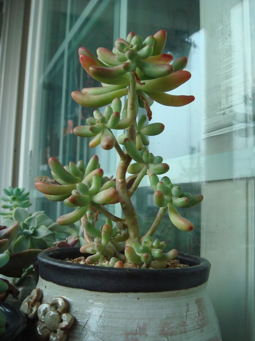 애심과 함께왓던 을녀심..그새 물이좀 든건지...