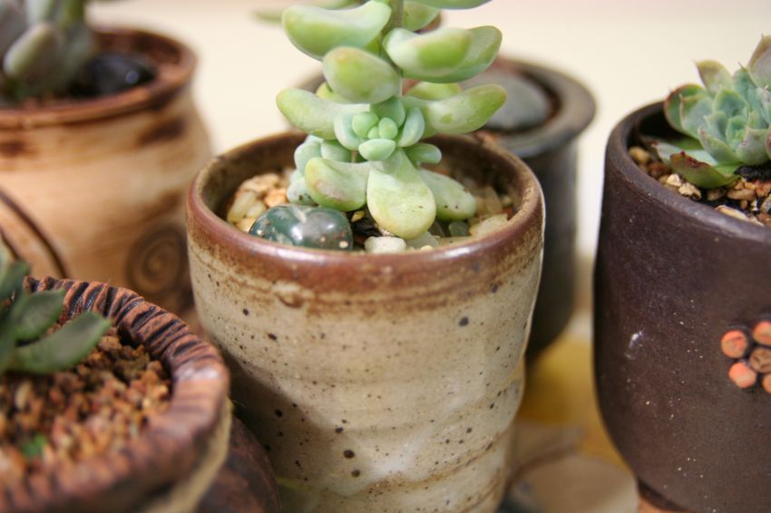 아가가 제법 여기저기서 쑝~숑