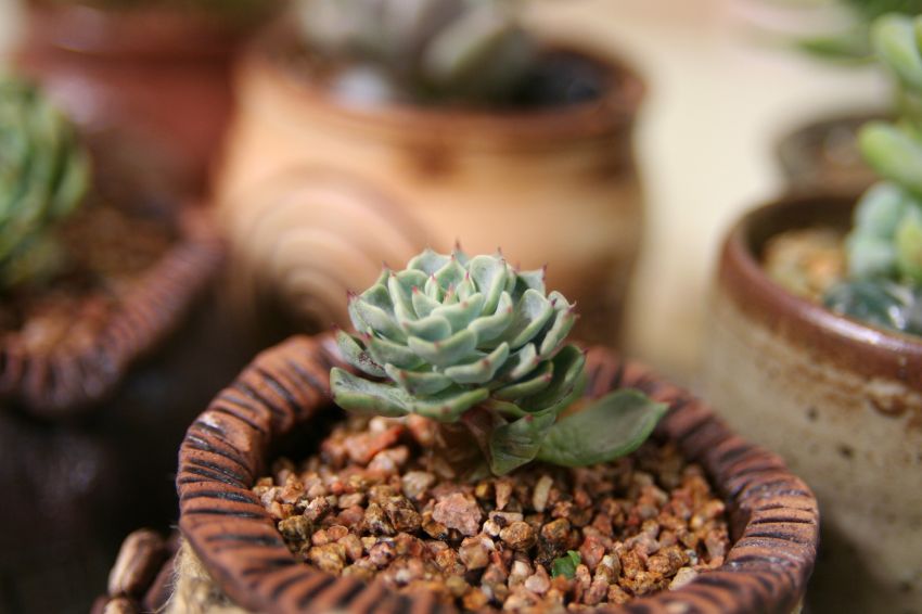 너무 작아요~사라비모단