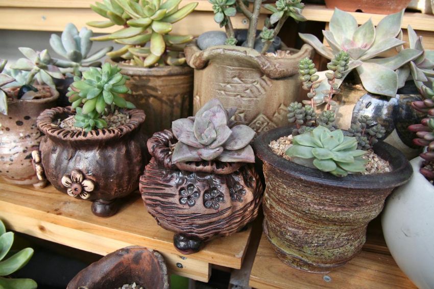 오팔금도 해빗샤워~~