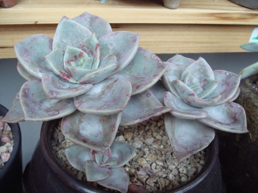  못낸이 연봉..ㅋㅋ