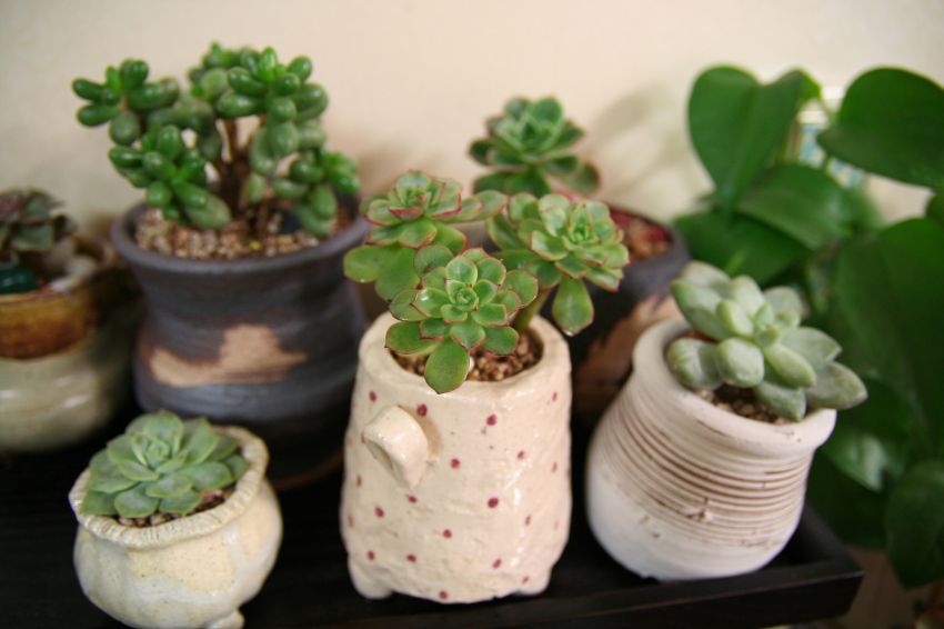  너무 이쁜 홍화장