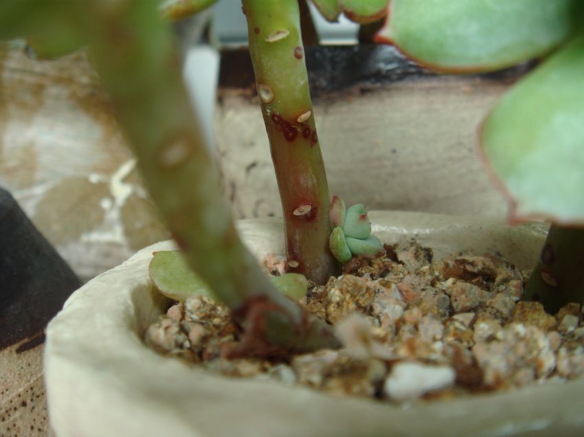   이쁜아가가 보이시죠?