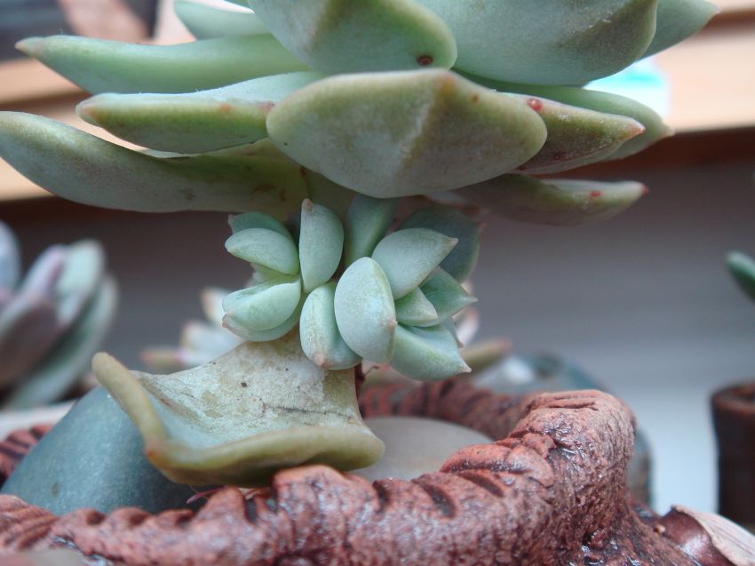  일부러 또깍 해놓구 보니...ㅎㅎ