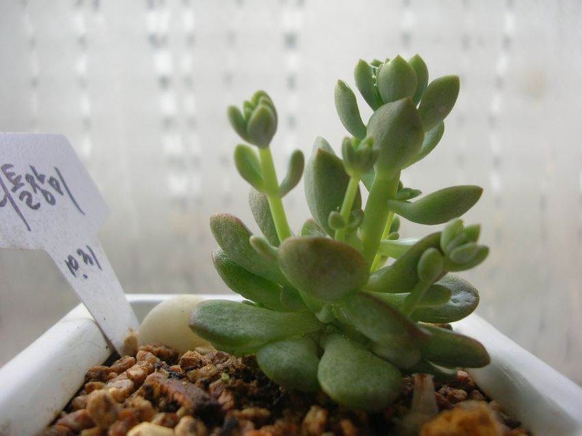 아침에 일 나오기 전..