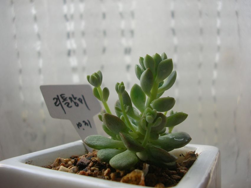 어때요? 이쁘죠?