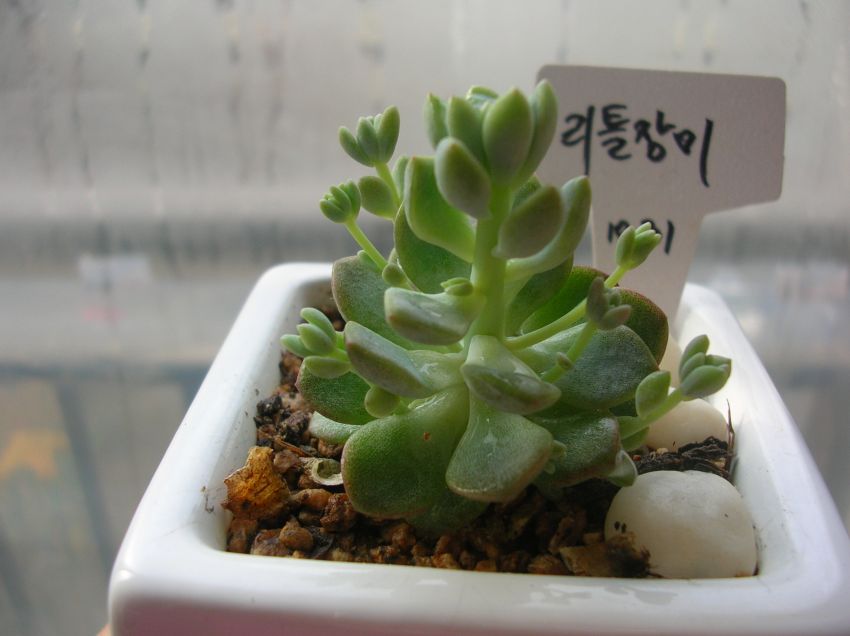 엄마 ~~~ 한장 부탁해요~~ 라고.ㅎㅎ