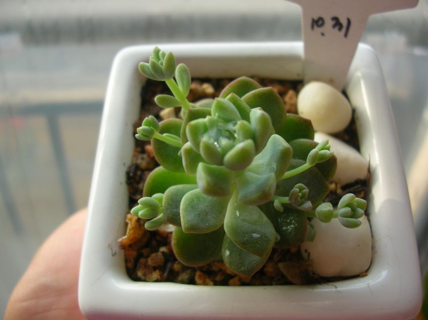 저를 부르더군요.