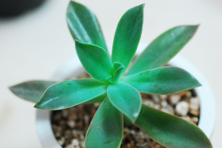 이름을 모르겠어요..