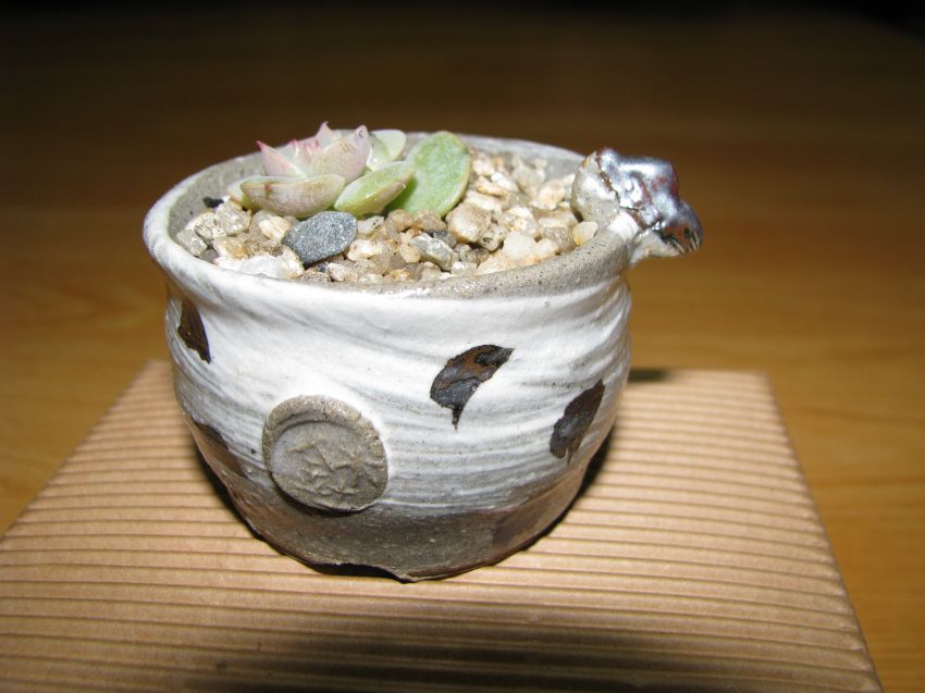 예쁜이 선물 로라!!