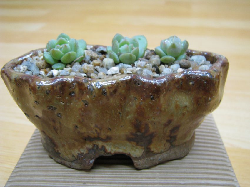 예쁜이 선물 리틀!!