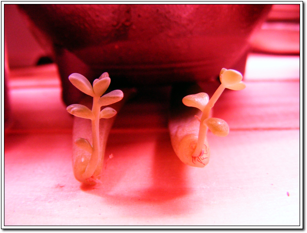 요건 12월 27일 (발디)