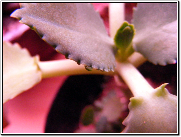 요기두 나와요~ㅋㅋ