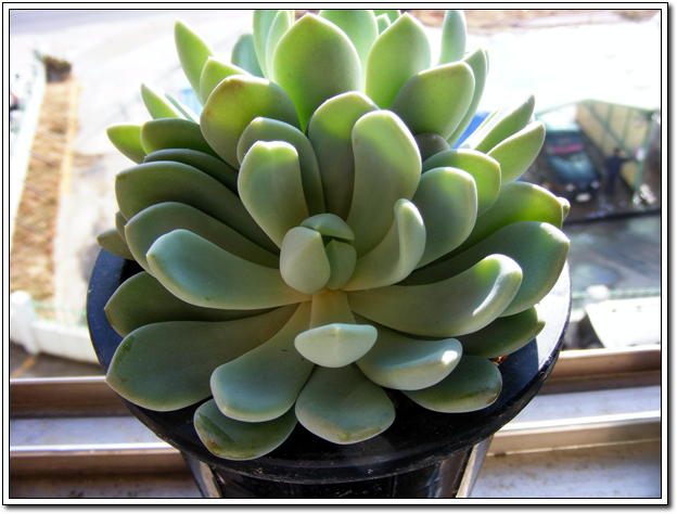 12월 10?일 날 입전