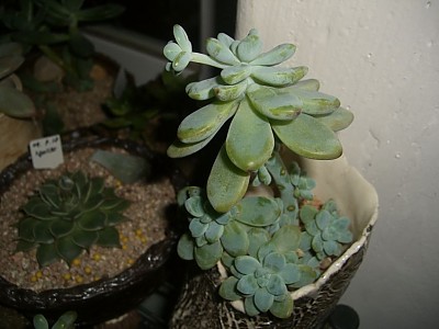 라울...ㅋㅋㅋㅋ