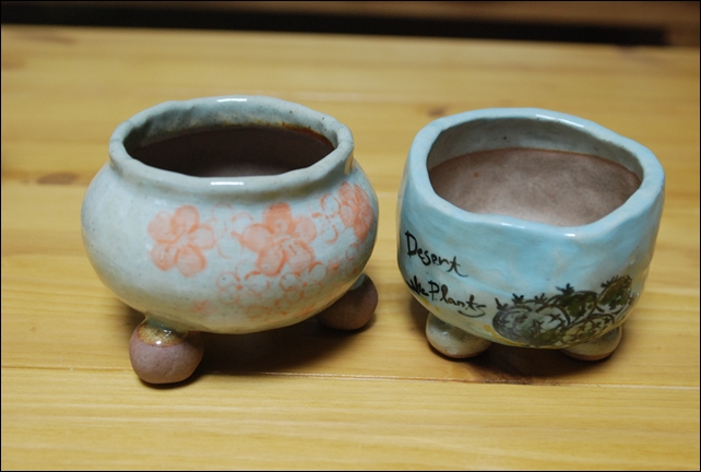 꽃피네이쁜 화분, 곧 주인찾아  자랑하러올께요...