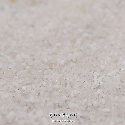 무균모래(Sterile Sand)